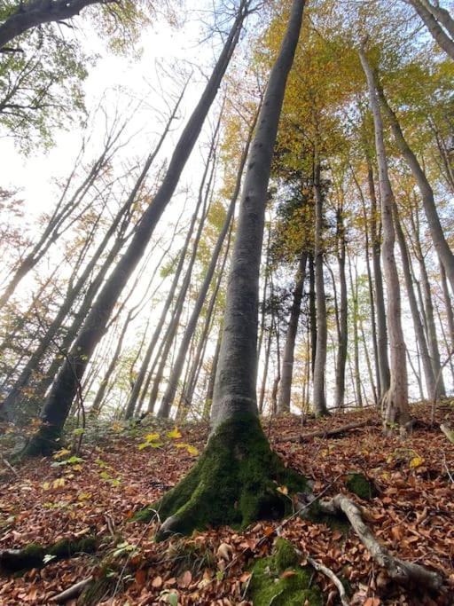 Casa Natur Pur, 85M2 Mit Garten Sauna Fischbachau Luaran gambar