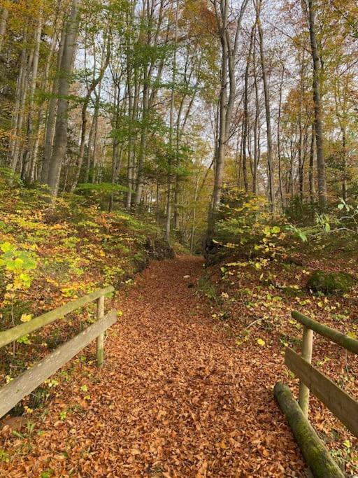 Casa Natur Pur, 85M2 Mit Garten Sauna Fischbachau Luaran gambar