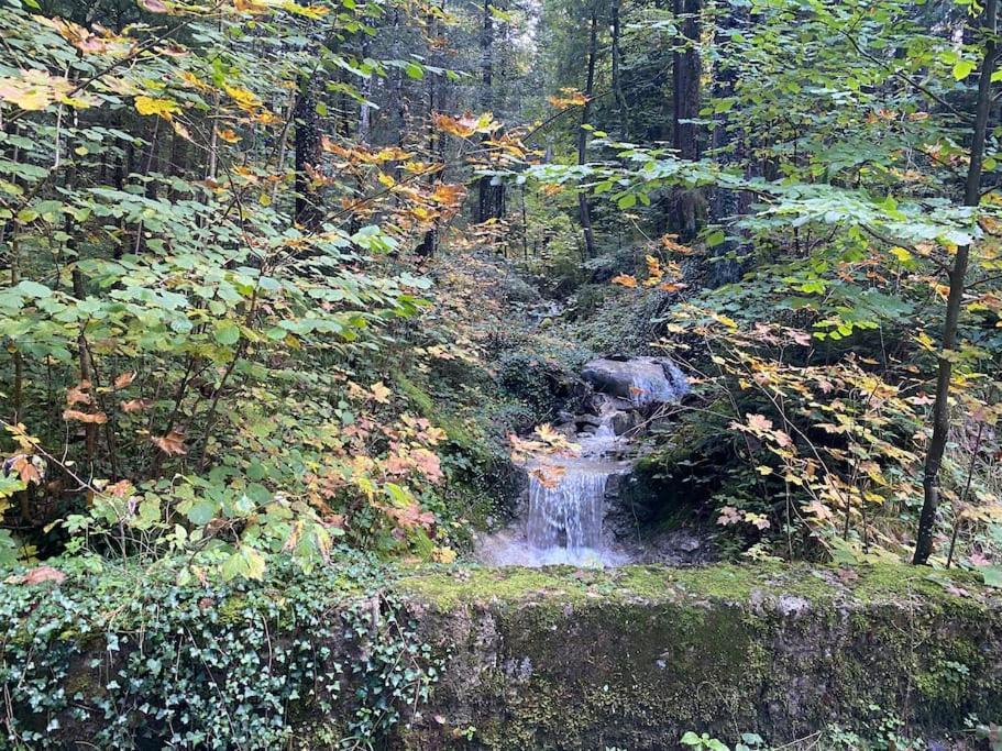 Casa Natur Pur, 85M2 Mit Garten Sauna Fischbachau Luaran gambar